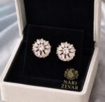 Elegant Earrings Combo - Image 2